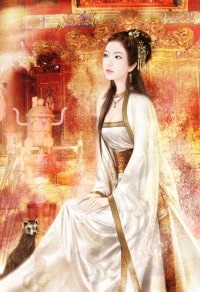 我的美女后宫